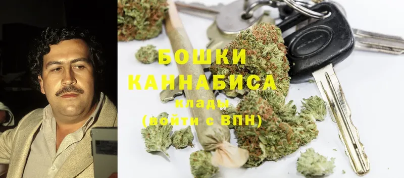 Конопля OG Kush  Асино 